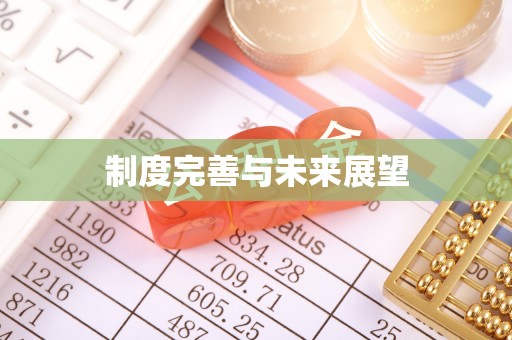 富县制度完善与未来展望